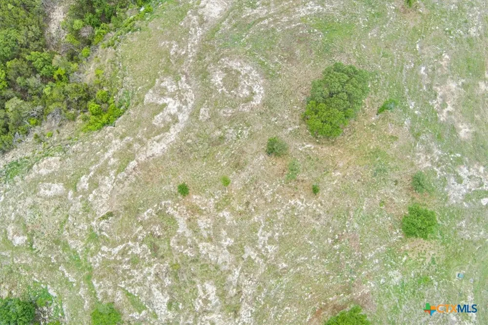 10134 Sweet Lilly Trail Temple, TX 76557