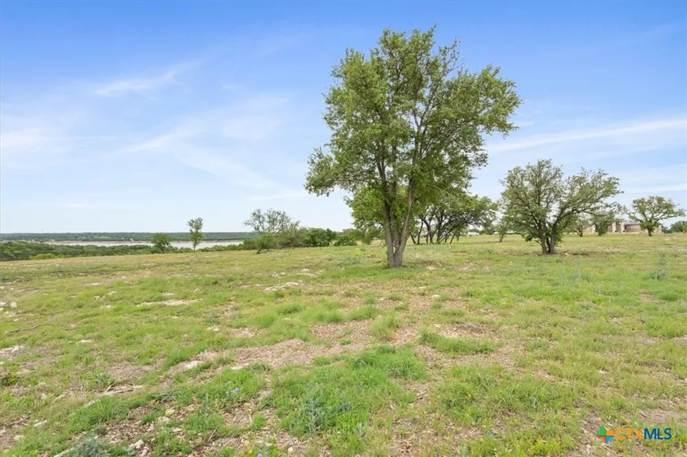10134 Sweet Lilly Trail Temple, TX 76557