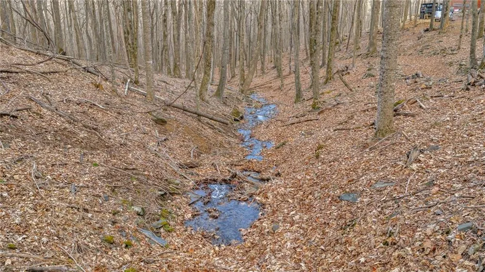 632 Big Tree Road West Jefferson, NC 28694