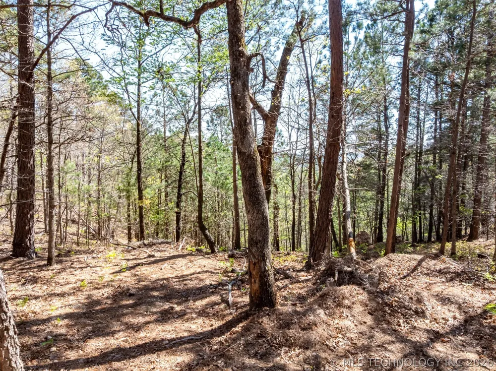 953 Pine Tree Road Kansas, OK 74347