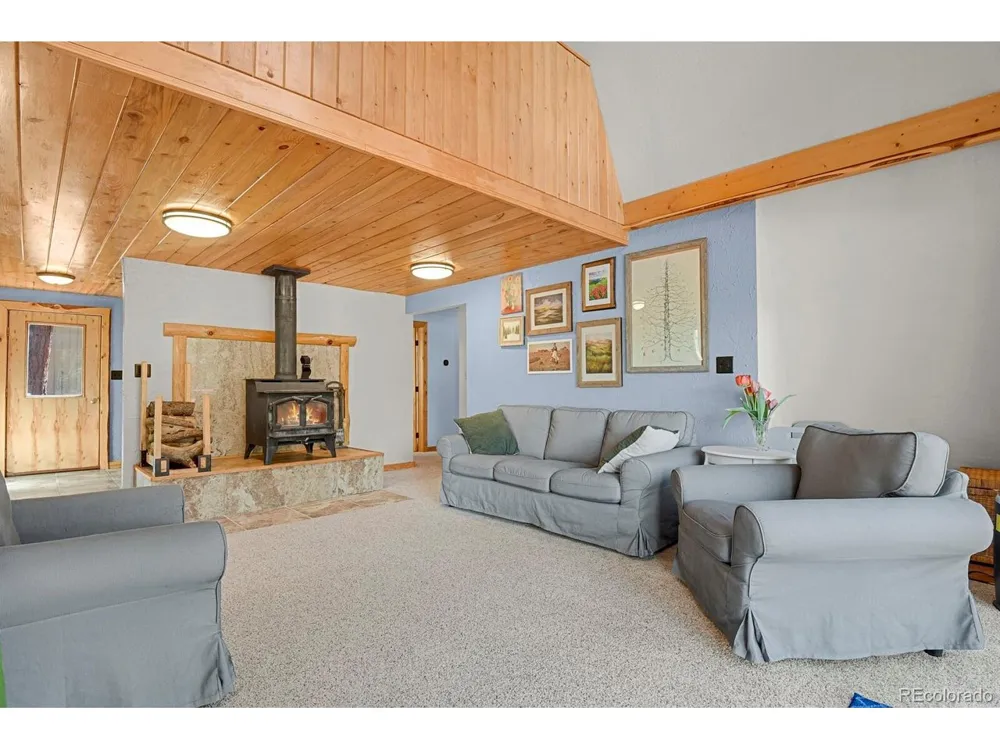 881 Trail Creek Road Lake George, CO 80827