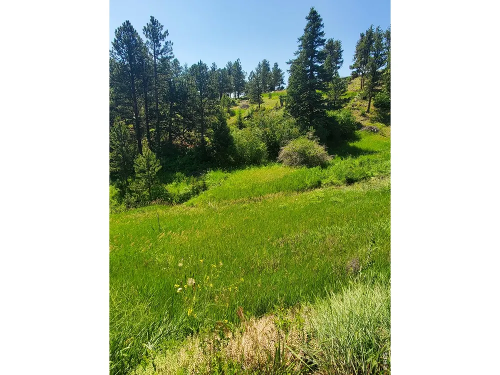 4444 Sunshine Canyon Drive Boulder, CO 80302