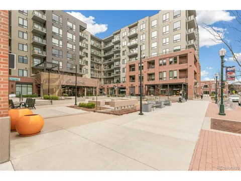 20 Wilcox Street #519