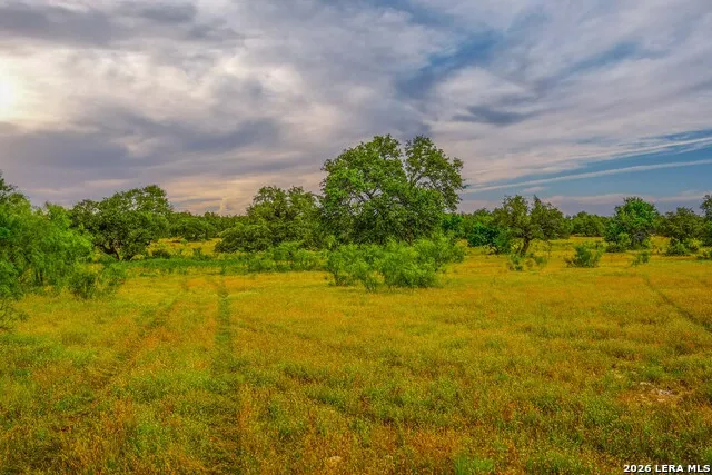 0 Treadwell Ln Menard, TX 76859