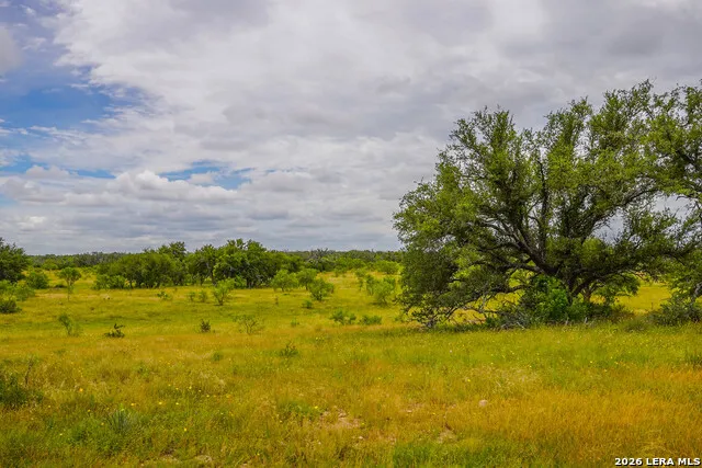 0 Treadwell Ln Menard, TX 76859