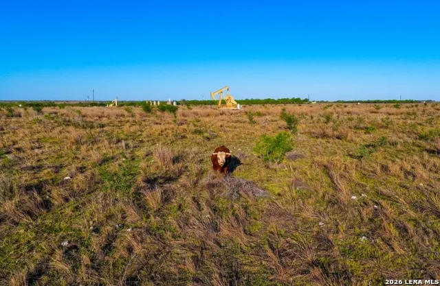 1444 County Road 210 Floresville, TX 78114
