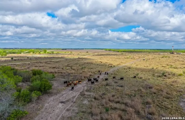 1444 County Road 210 Floresville, TX 78114