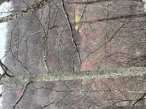 Fox Mountain