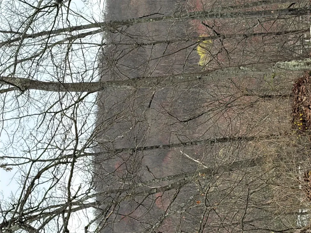 Fox Mountain Livingston Manor, NY 12758