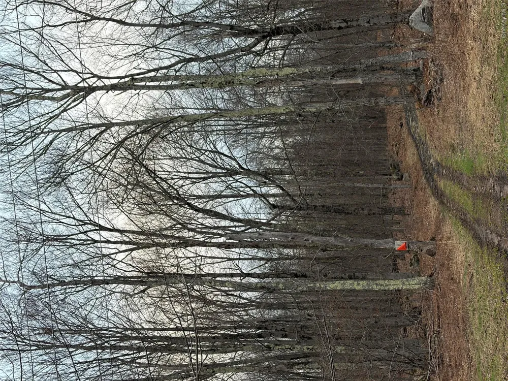Fox Mountain Livingston Manor, NY 12758