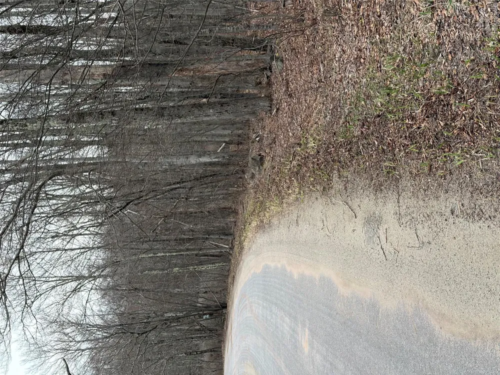 Fox Mountain Livingston Manor, NY 12758