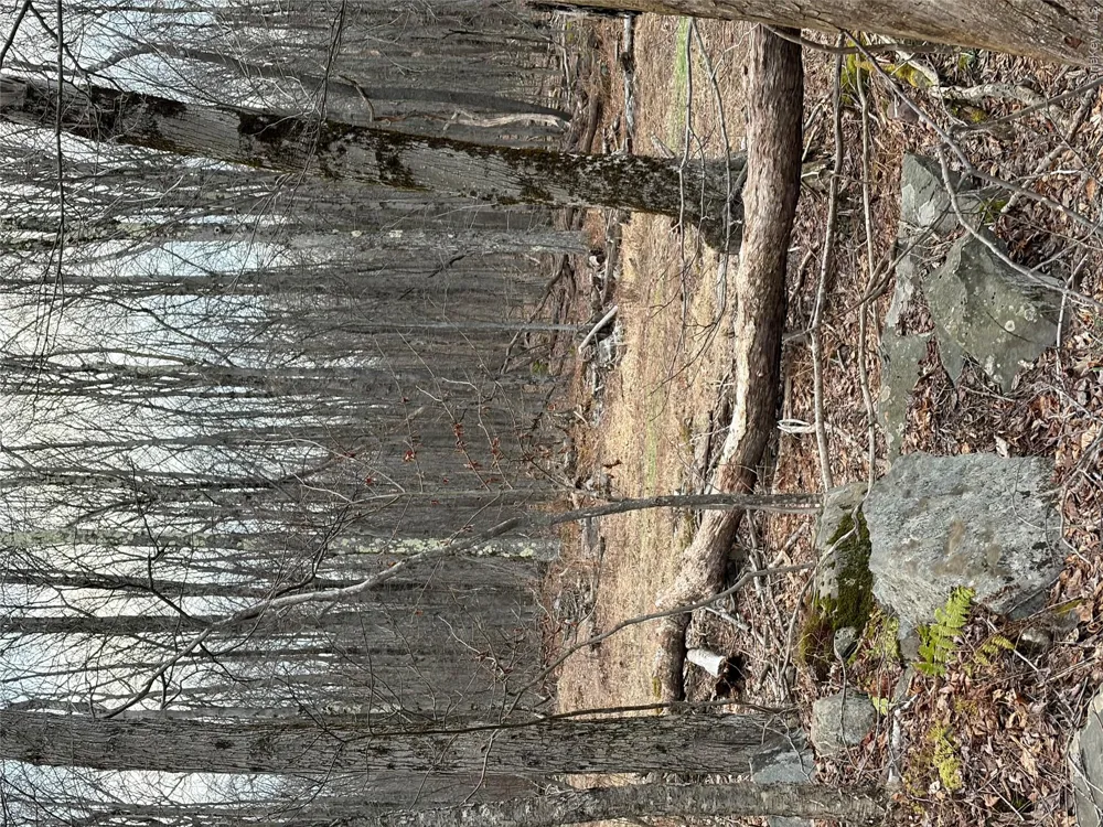 Fox Mountain Livingston Manor, NY 12758