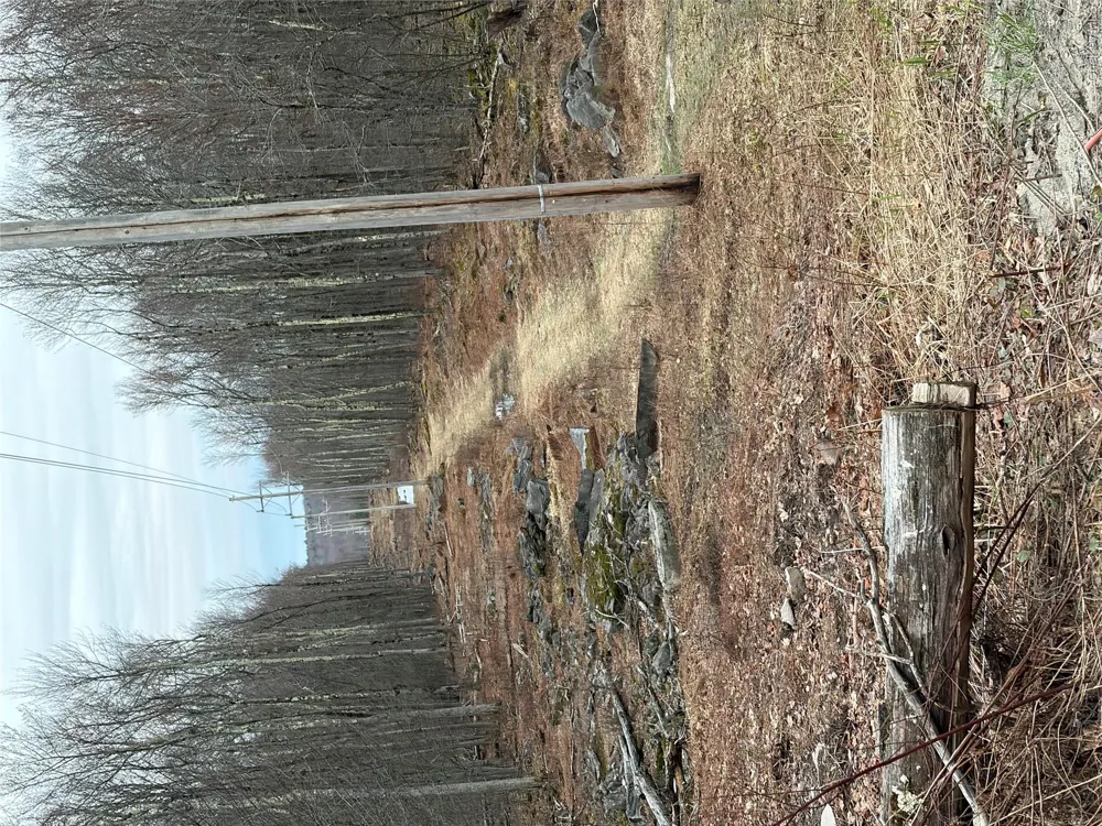 Fox Mountain Livingston Manor, NY 12758