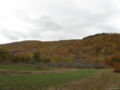 Gregory Hollow Road