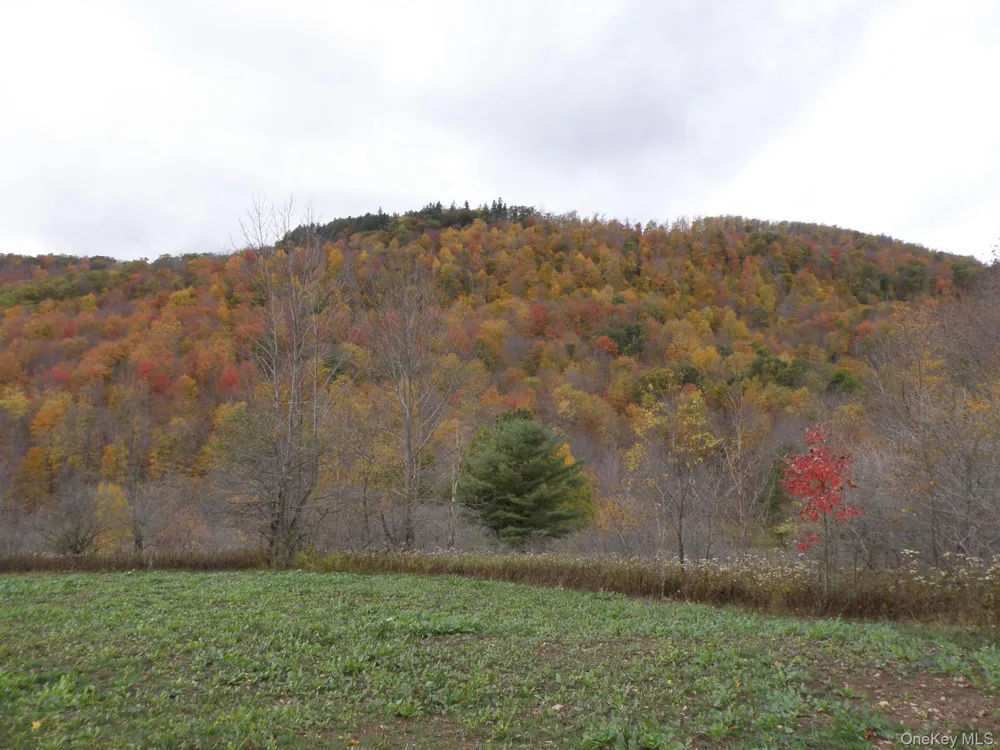 Gregory Hollow Road Hamden, NY 13782
