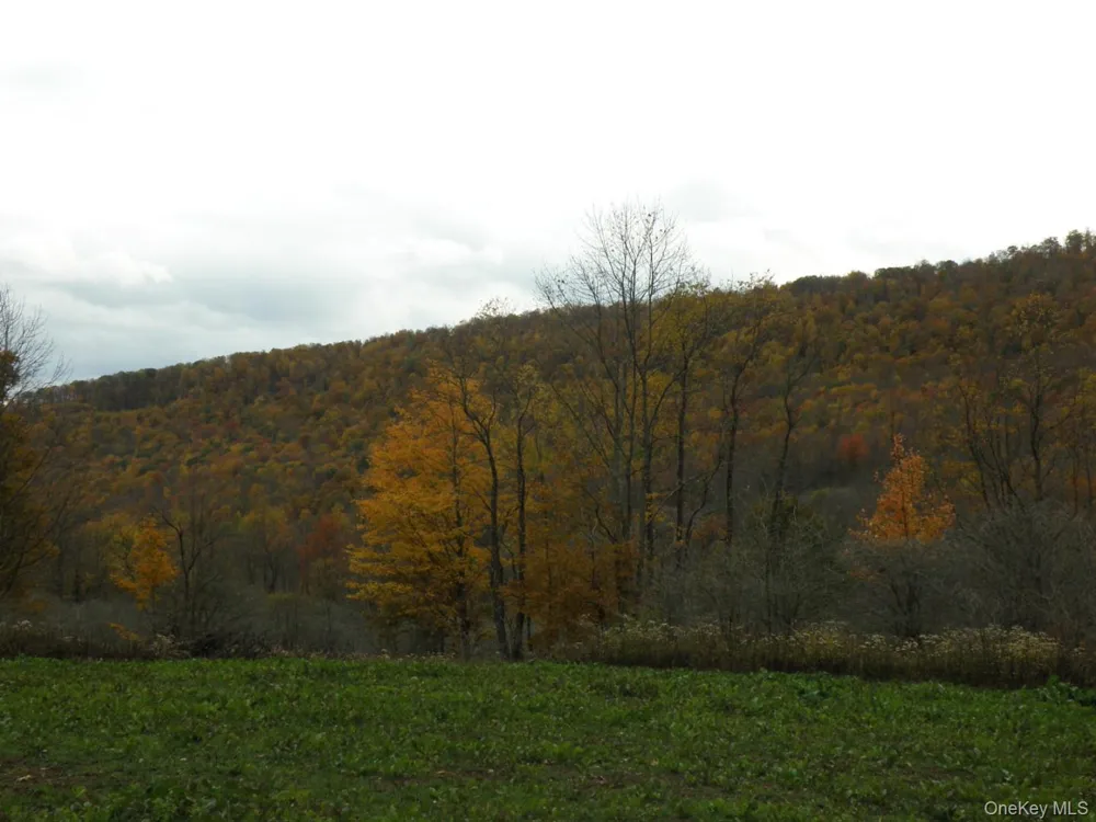 Gregory Hollow Road Hamden, NY 13782