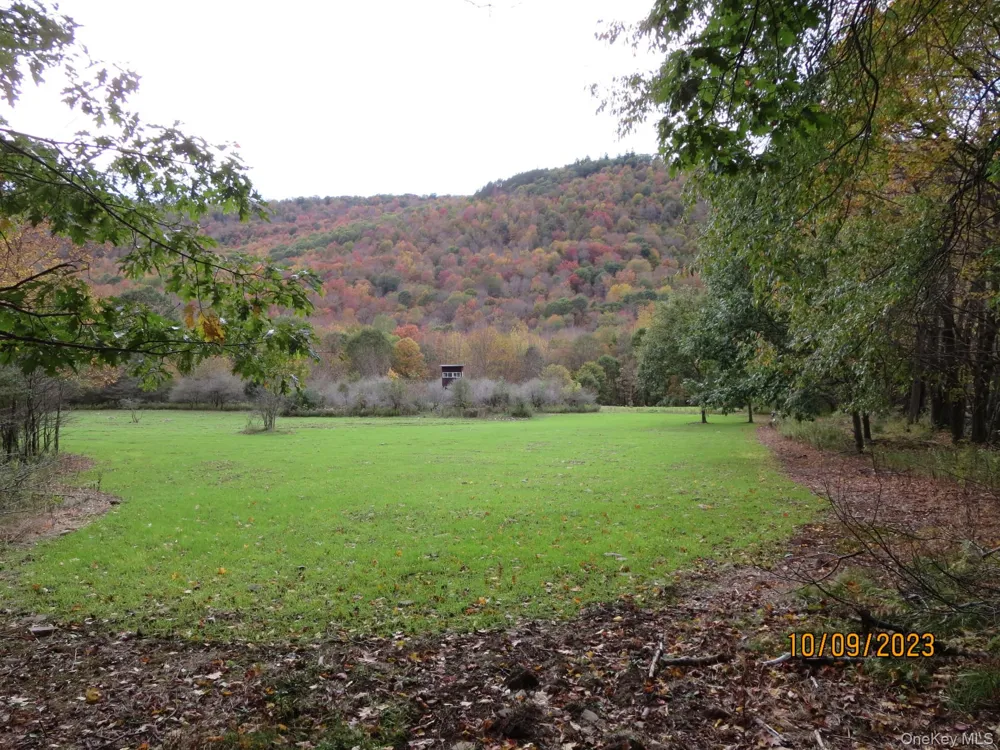 Gregory Hollow Road Hamden, NY 13782