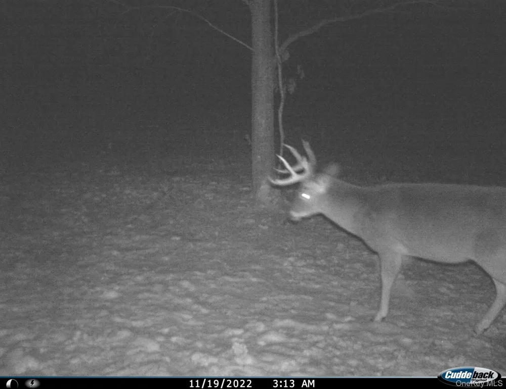 Gregory Hollow Road Hamden, NY 13782