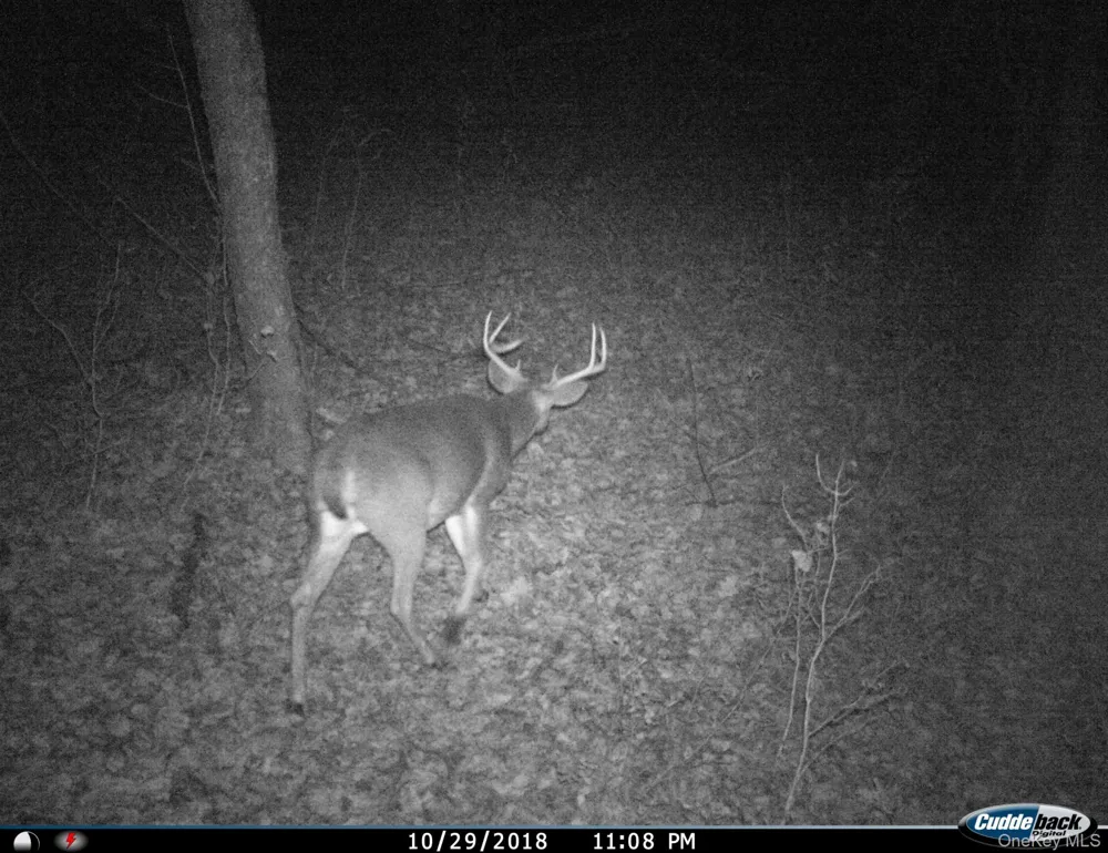 Gregory Hollow Road Hamden, NY 13782