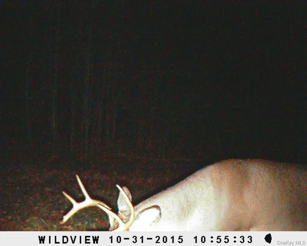 Gregory Hollow Road Hamden, NY 13782
