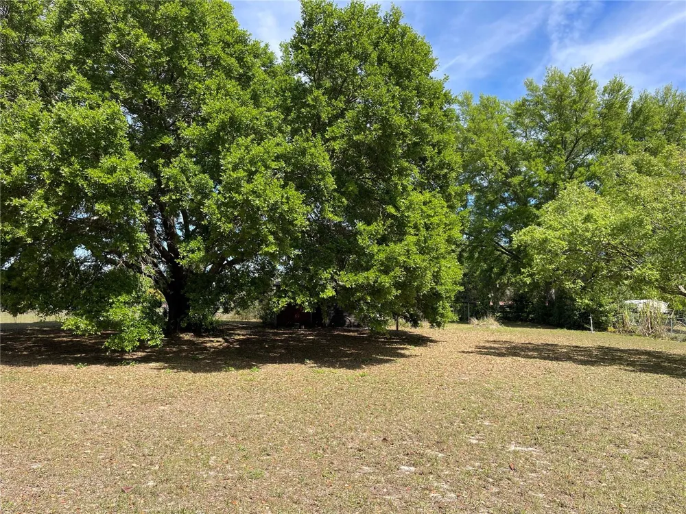 15121 SE 175TH STREET Weirsdale, FL 32195