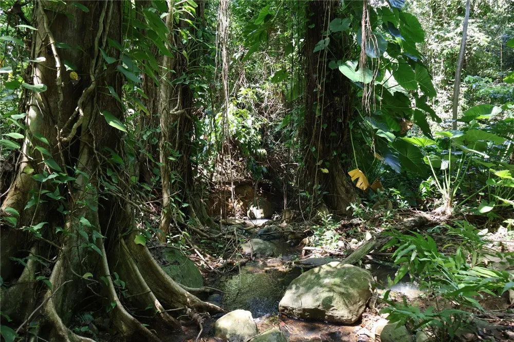 9966 CARRETERA Rio Grande, PR 00745