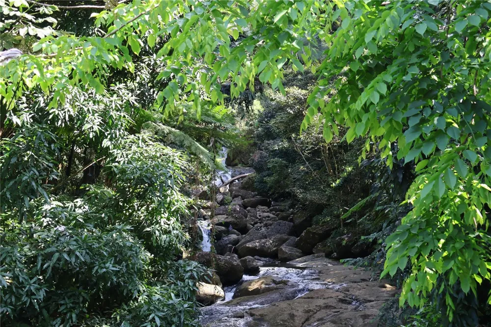 9966 CARRETERA Rio Grande, PR 00745