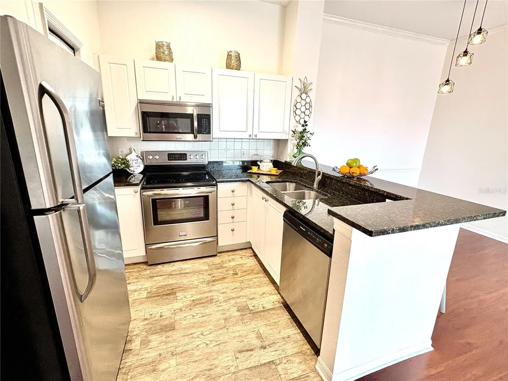 18107 PEREGRINES PERCH PLACE #6303 Lutz, FL 33558