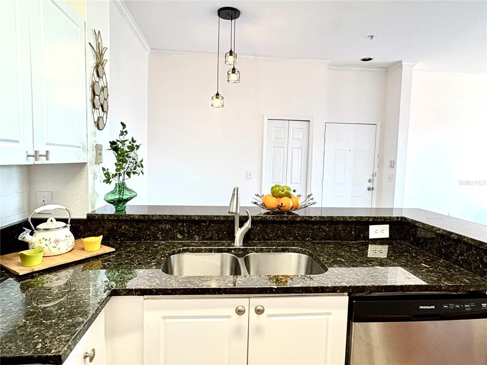 18107 PEREGRINES PERCH PLACE #6303 Lutz, FL 33558