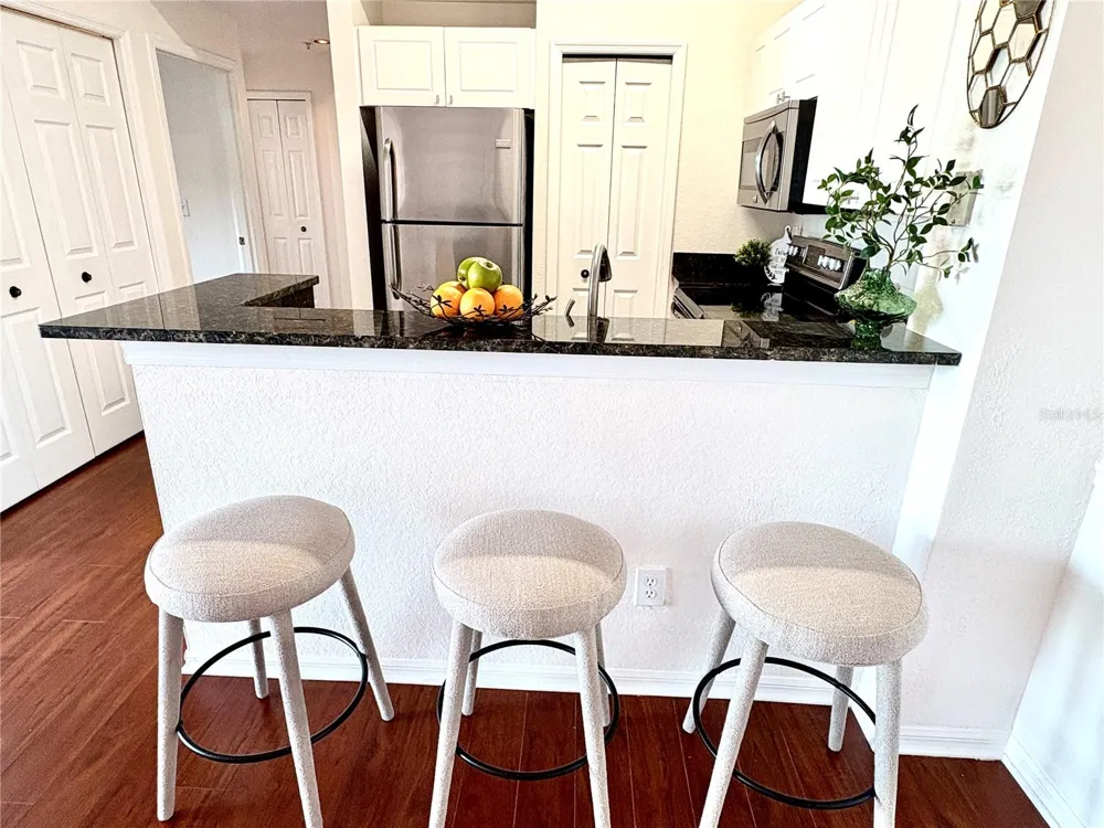 18107 PEREGRINES PERCH PLACE #6303 Lutz, FL 33558