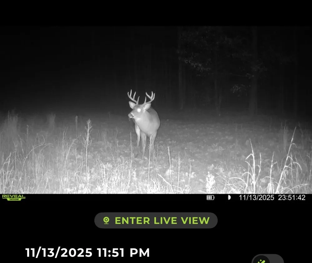 Tower Rd Road Curran, MI 48728