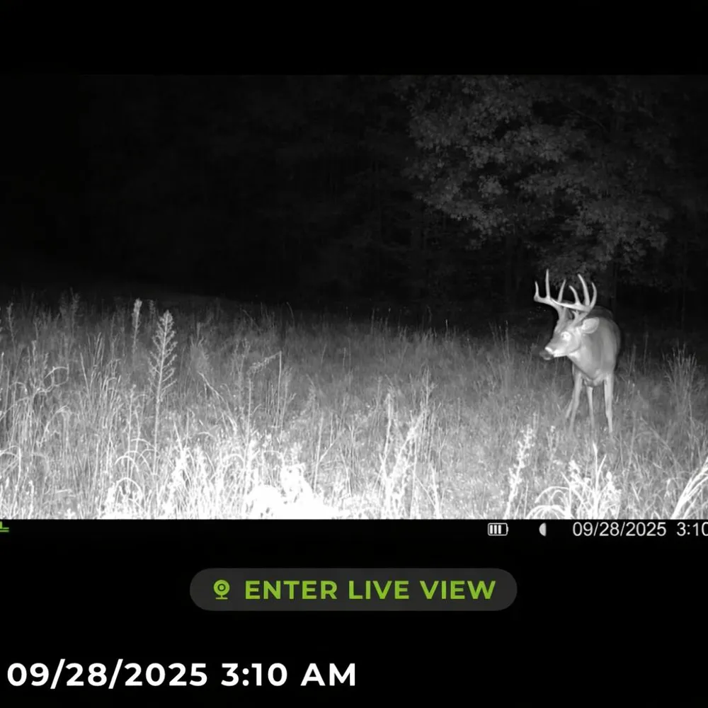 Tower Rd Road Curran, MI 48728