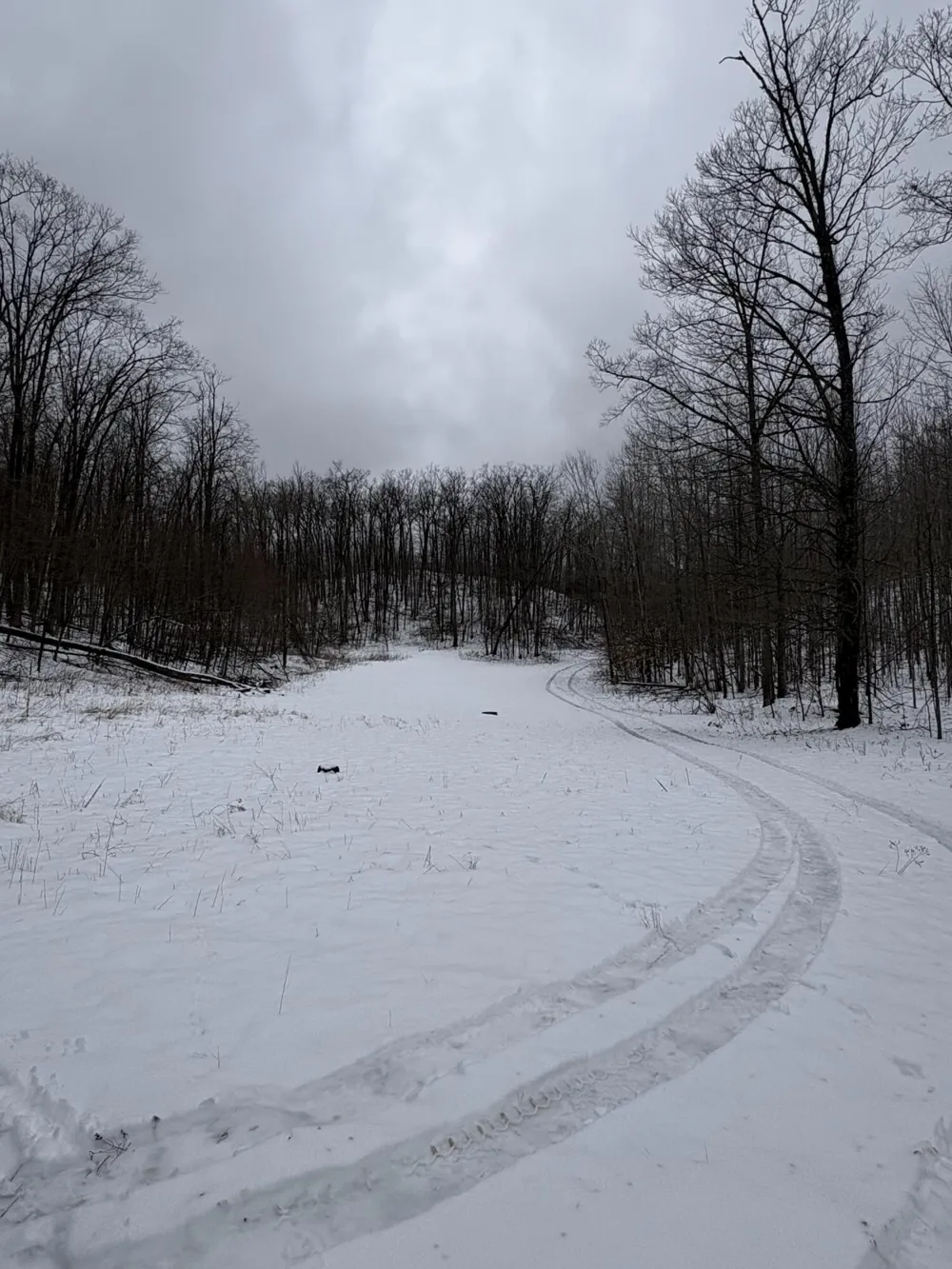Tower Rd Road Curran, MI 48728