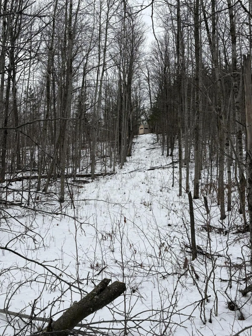 Tower Rd Road Curran, MI 48728
