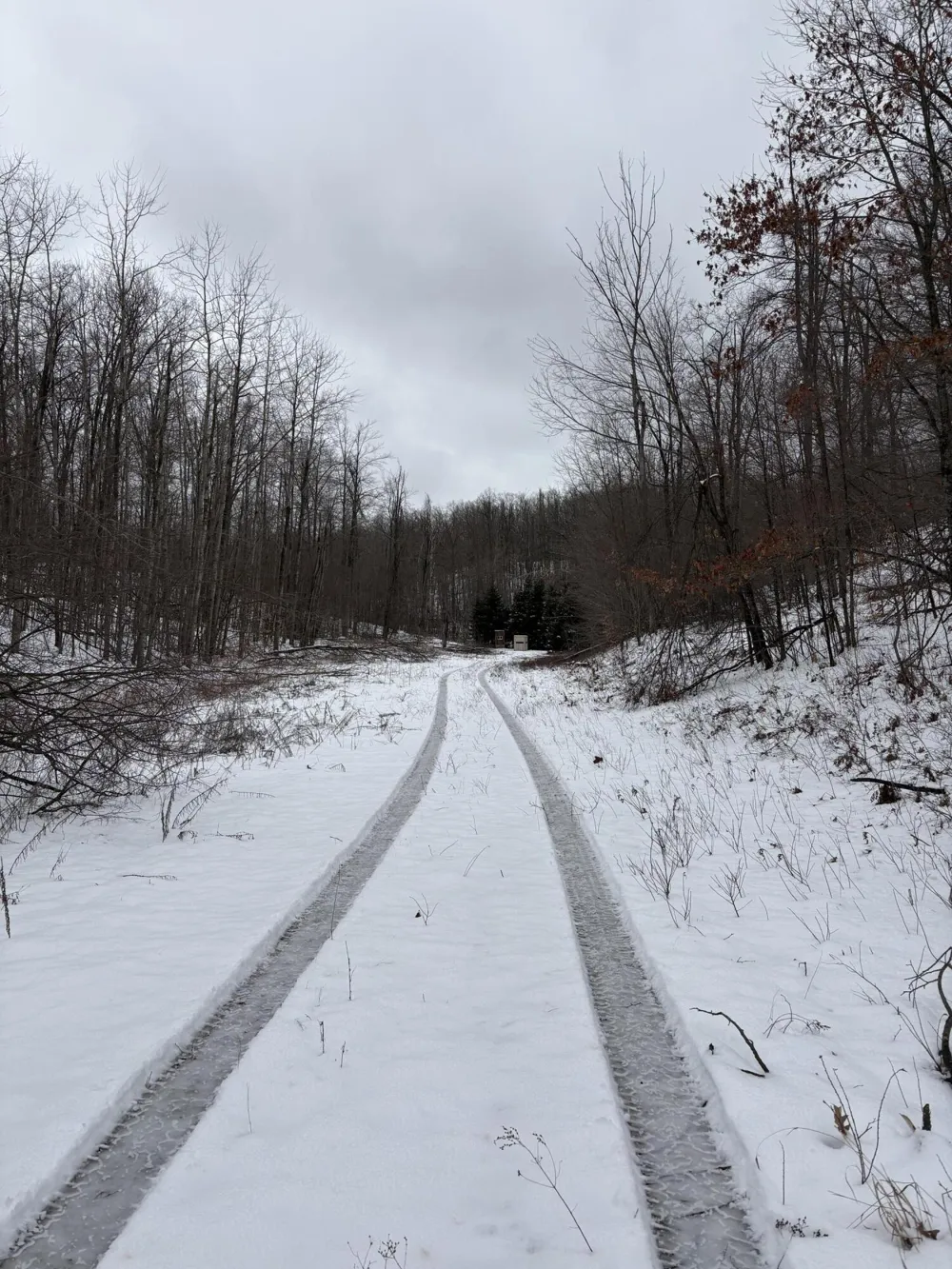 Tower Rd Road Curran, MI 48728