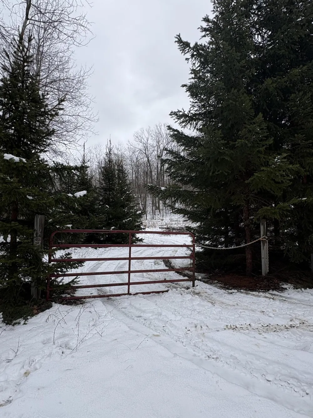 Tower Rd Road Curran, MI 48728