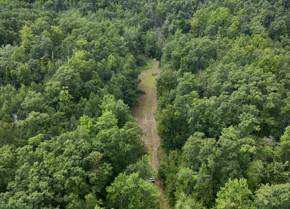 Tower Rd Road Curran, MI 48728
