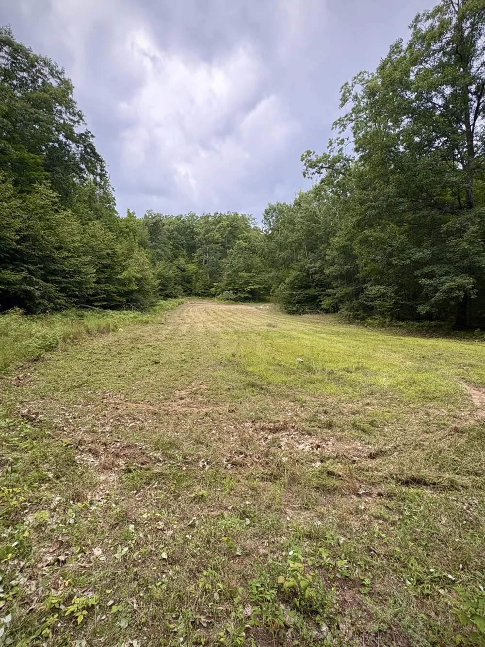 Tower Rd Road Curran, MI 48728