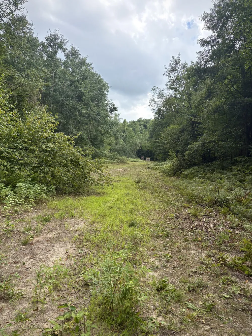 Tower Rd Road Curran, MI 48728