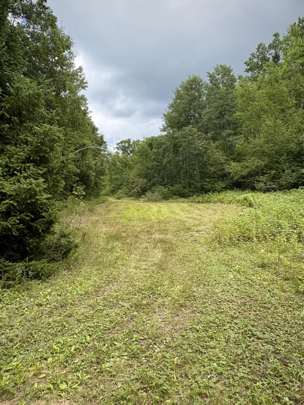 Tower Rd Road Curran, MI 48728
