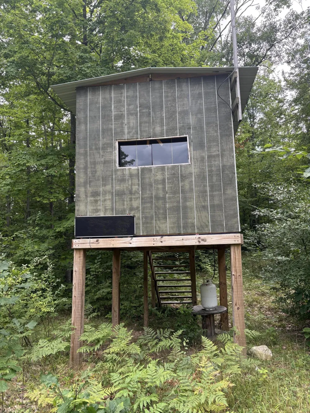 Tower Rd Road Curran, MI 48728