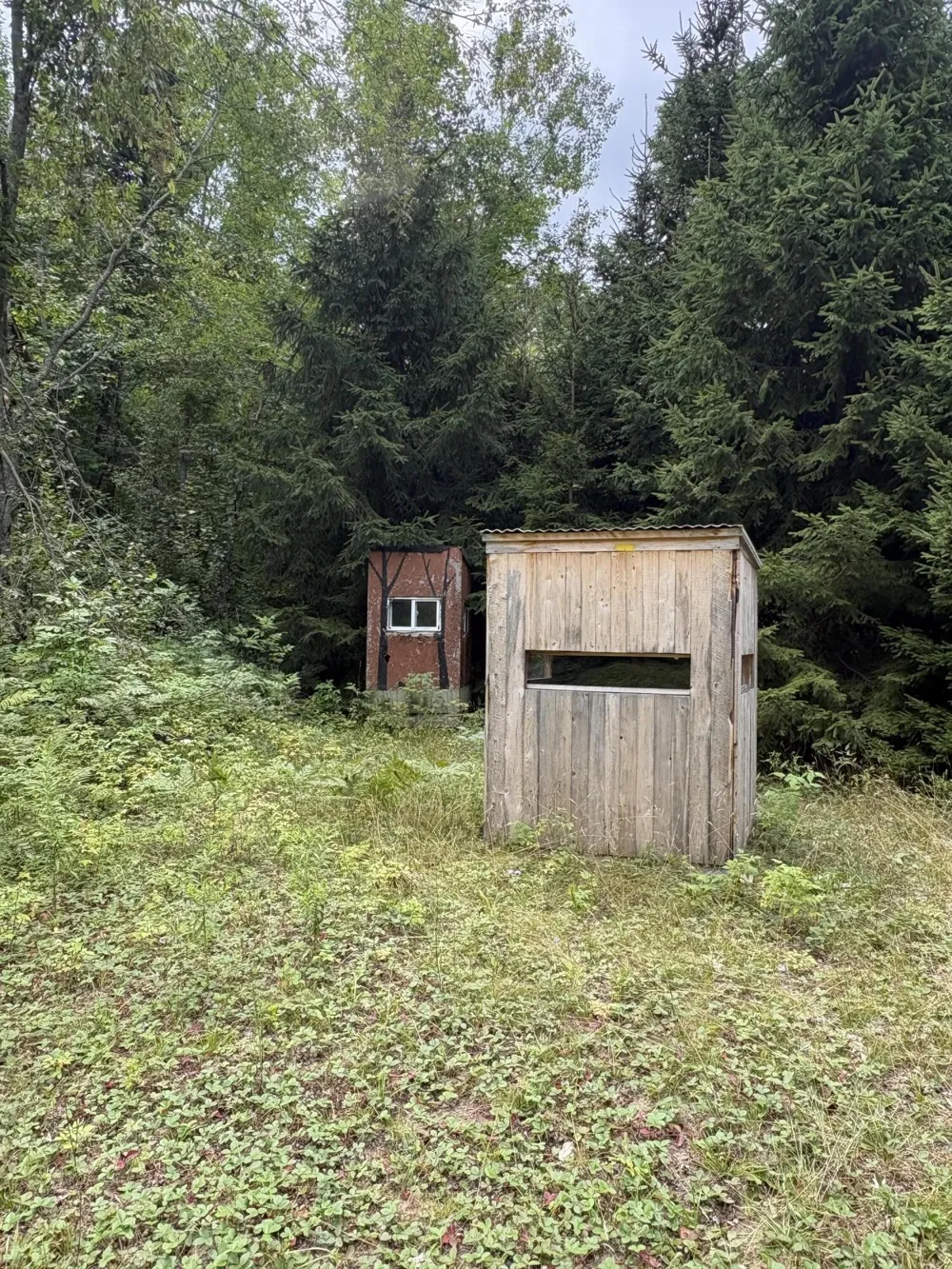 Tower Rd Road Curran, MI 48728