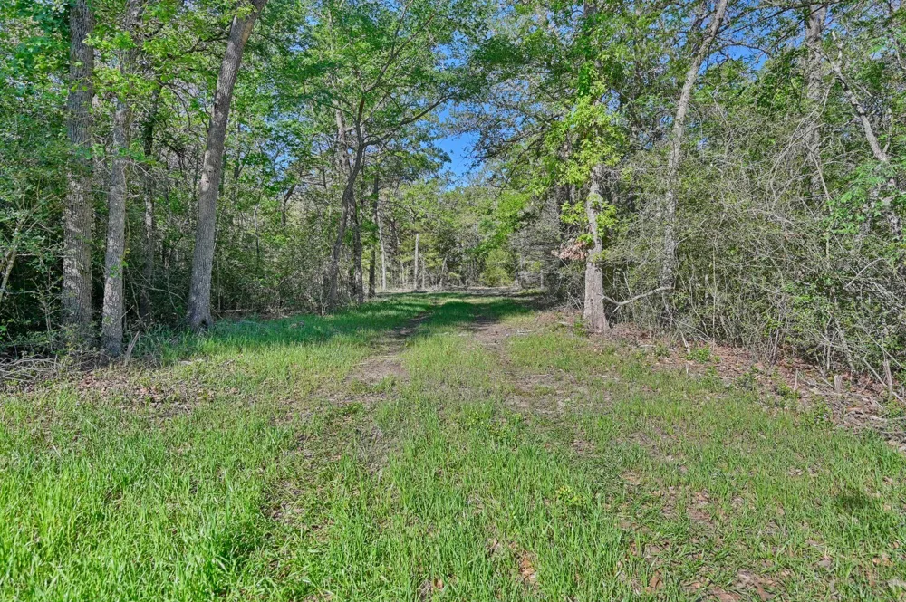 Lcr 800 Groesbeck, TX 76642