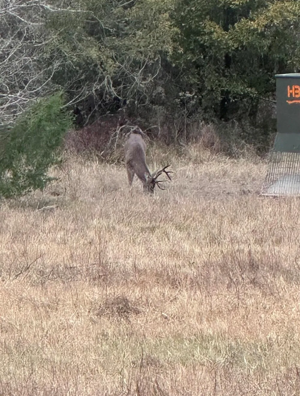 Lcr 800 Groesbeck, TX 76642
