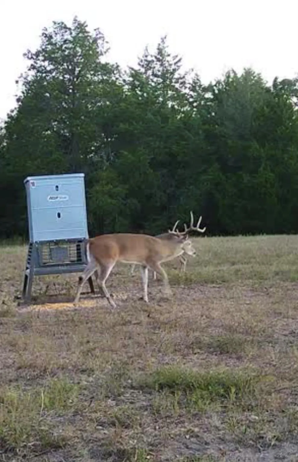 Lcr 800 Groesbeck, TX 76642