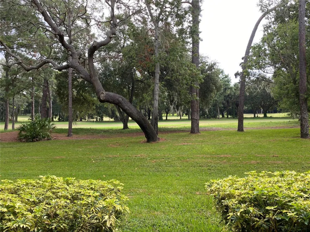 36750 US HIGHWAY 19 #19-115 Palm Harbor, FL 34684