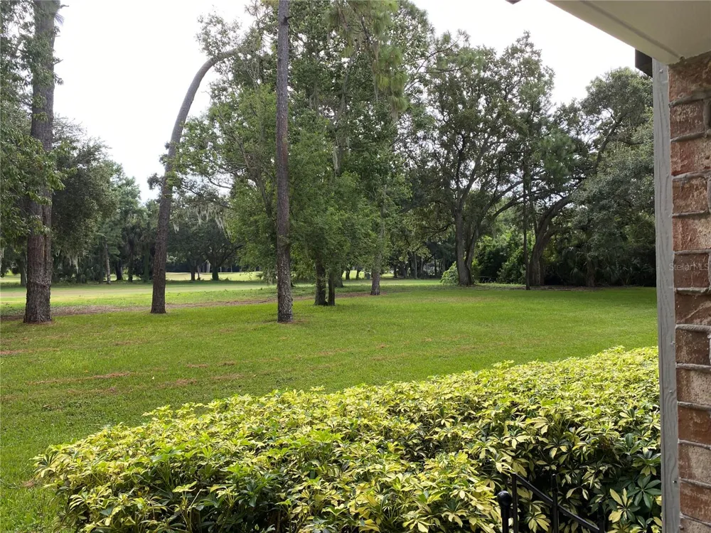 36750 US HIGHWAY 19 #19-115 Palm Harbor, FL 34684