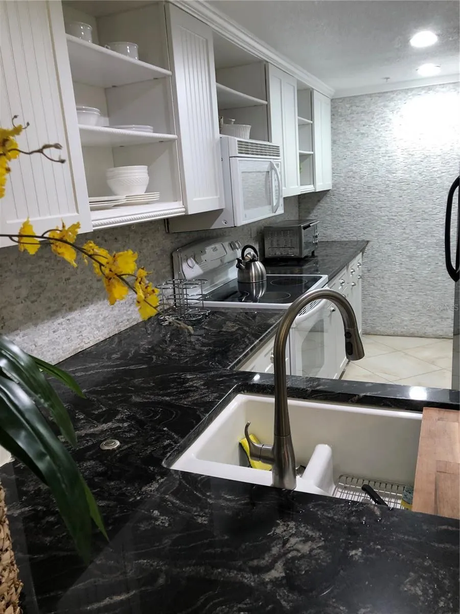 36750 US HIGHWAY 19 #19-115 Palm Harbor, FL 34684