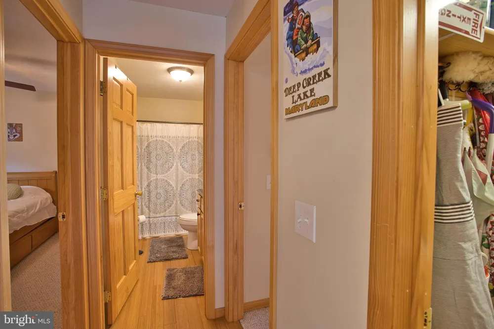 208 SMILEY FACE LANE Mc Henry, MD 21541