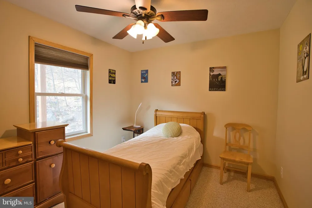 208 SMILEY FACE LANE Mc Henry, MD 21541
